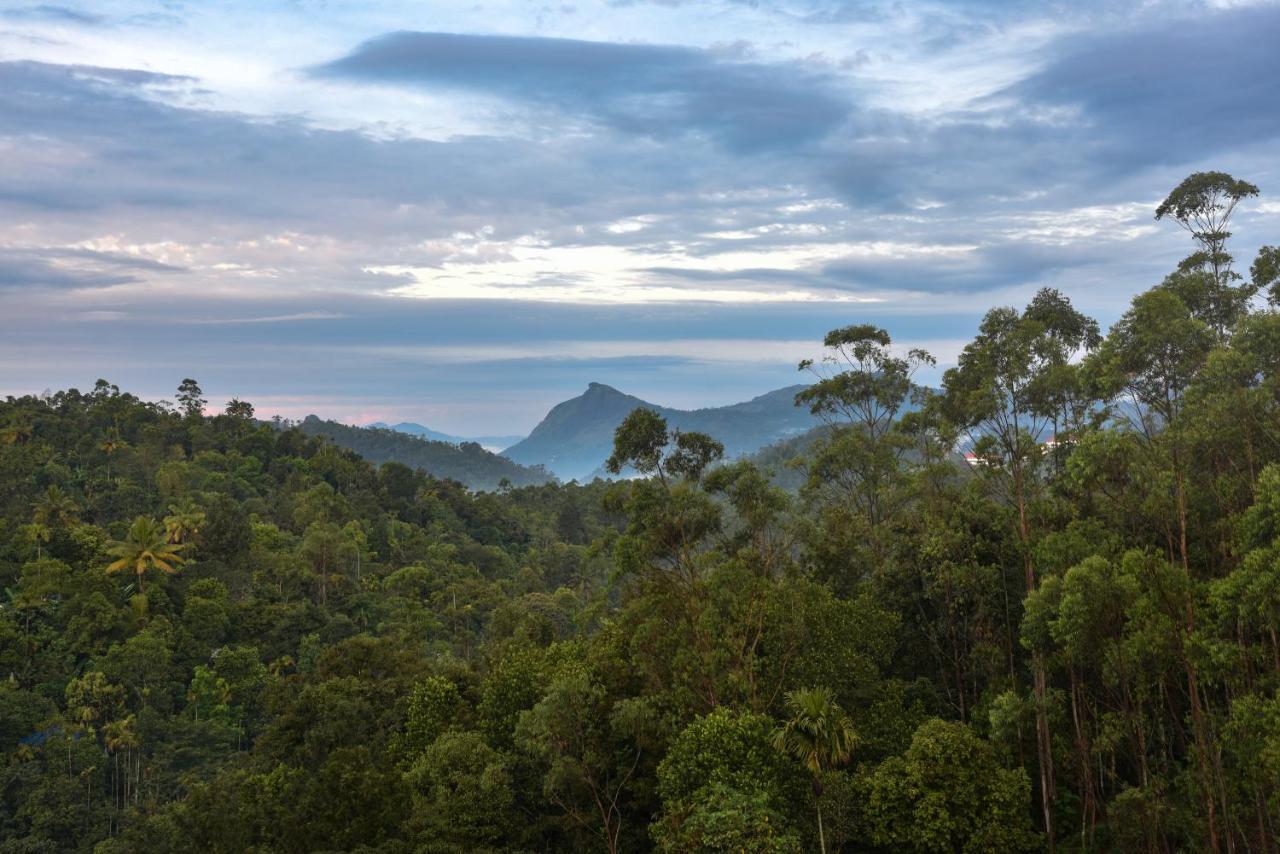 Hotel White House, Munnar Exterior foto